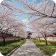Korea-menu